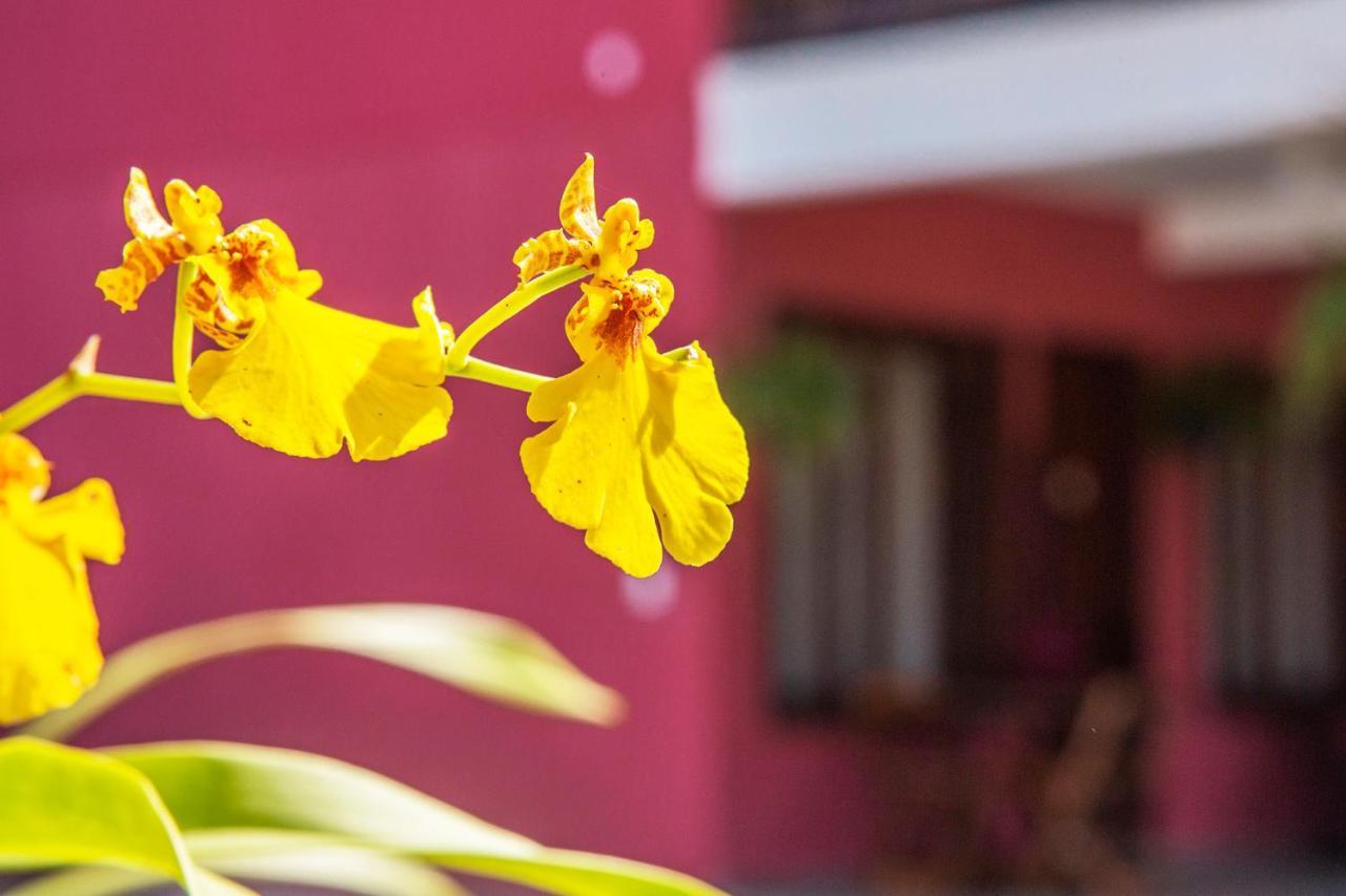 Suites Las Flores מרזיאס מראה חיצוני תמונה